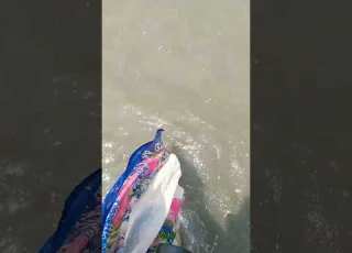 Walking Alone At Sea Beach Sea Beach Water Seawater Alone Walking Shortsviral