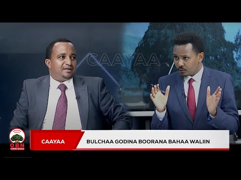 Caayaa Bulchaa Godina Boorana Bahaa