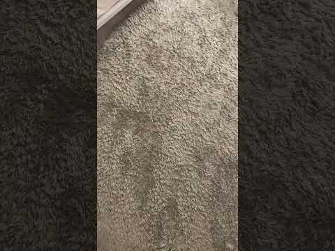 流出 フォロワー900万人超TikToker 彼女とのベッド写真