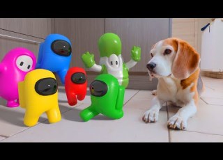TOP 20 Funny Real Life Animations Vs My Dogs Compilation