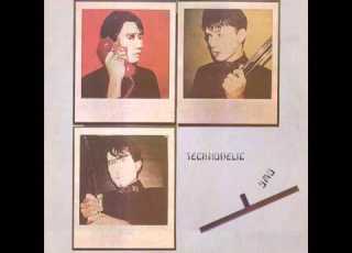 YMO Gradated Grey 1981