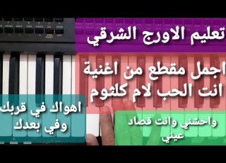 تعليم عزف الاورج مقطع اهواك في قربك و في بعدك اجمل مقطع من اغنية انت الحب لام كلثوم