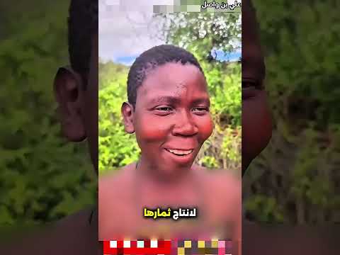 هذه القبيلة حاولت زراعة المانجو بطريقة مميزة وبعدها حدث هذا Shorts Shortvideo Shortsfeed