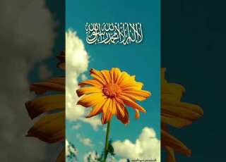  Unfrezzmyaccount Love Duet Account Sadpoetry Ahammad Quranfacts Surahabasa