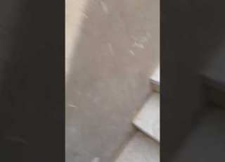  طلعت في سطح شوف خوفي