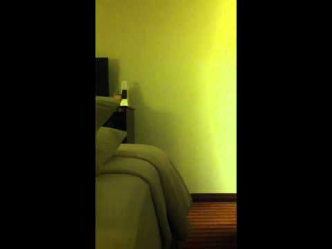 So Much For Peace And Quiet