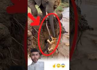  خفي اللطف يأتي في عز الضيق لولا ل طف الله ل انفطرت القلوب من زحام الأوجاع Respect ابلور