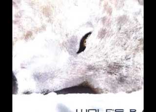 Wolf S Rain OST Shiro Unreleased Version