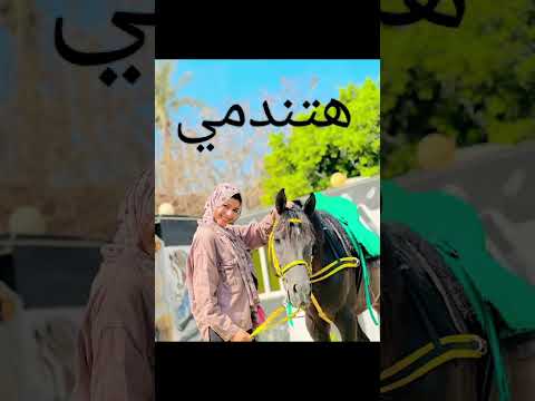 تحدي قوي بين زينب ابراهيم ومع آيه احلى