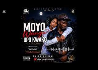 Moyo Wangu Upo Kwako Official Audio Bongo Flava Love Song 2026