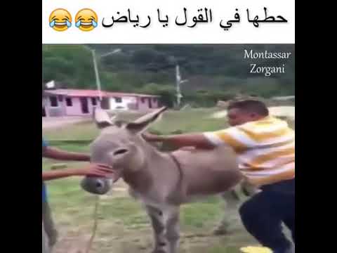 حطها في قول يارياض هههههههه