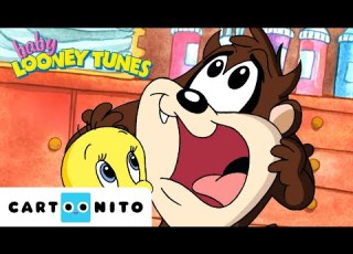Taz S New Toy Baby Looney Tunes Cartoonito