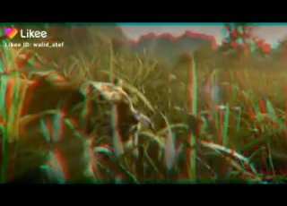 حالات واتس حوده بندق سيستم الرجوله واقع