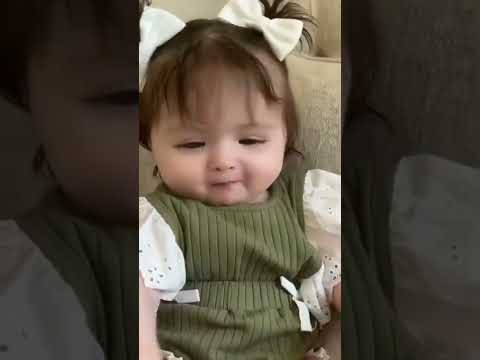 مصطفى مصطفى