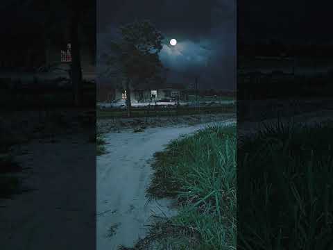 Village Life Full Moon Night Moonnight Beautifulnature Fullmoon Moonlight Moon Peaceful Village Life Full Moon Night Moonnight Beautifulnature Fullmoon Moonlight Moon Peaceful