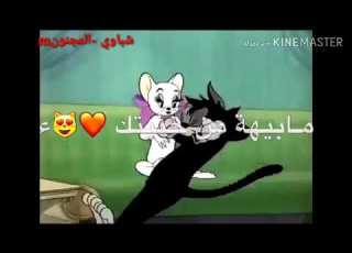  تحشيش فارة وبزون بلهجة العراقية يموت ظحك مع الغنيه لوفكرت اونسيتك اصيل بدون اي حقوق جق لايك المقطع