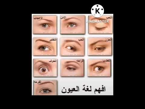 لغة العيون