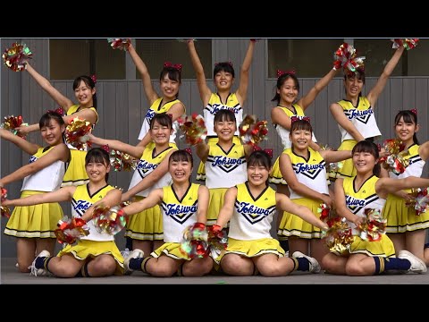 常磐大学高等学校チアリーダー2曲目 GO 4K 常磐大学 2019年ときわ祭