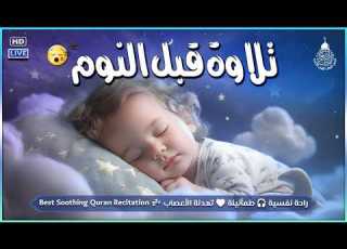  قران كريم بصوت جميل جدا قبل النوم راحة نفسية لا توصف Quran Recitation