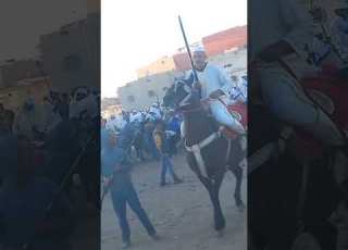 الخيل وموسم التبوريدة بمدينة اسفي