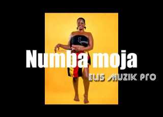 Numba Moja By Elis Muzik Pro Official Audio