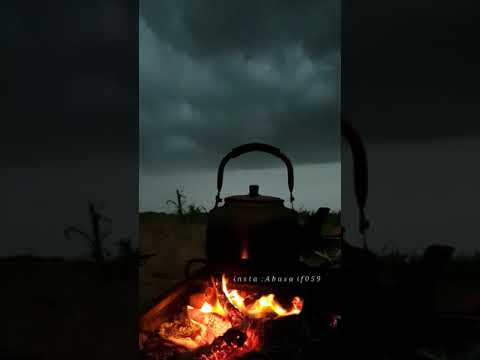 محلاك يا جو الشتاء