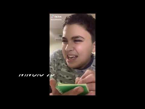 مهرجان كفته بالطحينه