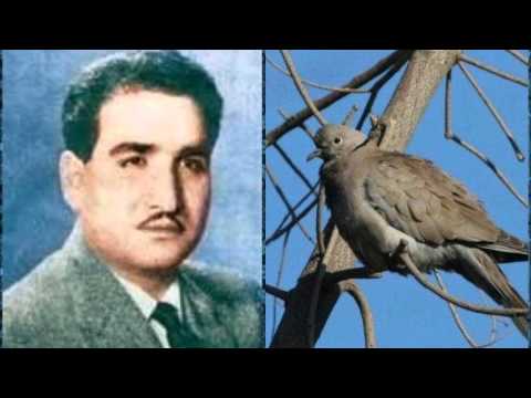 أقول وقد ناحت بقربي حمامة ناظم الغزالي أقول وقد ناحت بقربي حمامة ناظم الغزالي