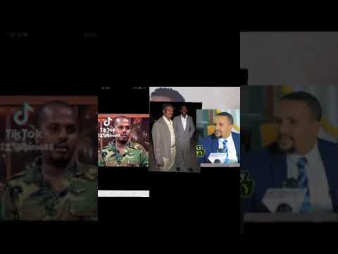 Raayyaa Abbaa Maccaa Maal Jedha Waayii Gandummaa