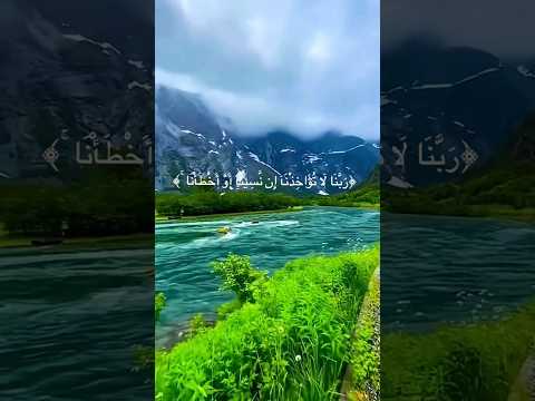 تلاوة خيالية وراحة نفسية الشيخ ماهر المعيقلي ربنا لا تؤاخذنا إن نسينا أو أخطأنا Quran اكسبلور