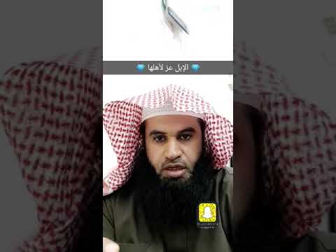 معنى الإبل عز لأهلها مقاطع من السناب
