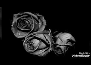  استمع الى كاظم الساهر البصراوي ابعد عني يابن الناس