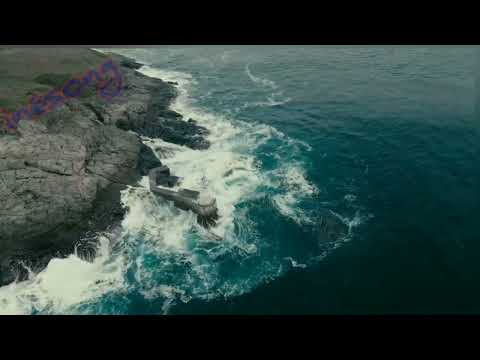 Cheb Khaled Top Instrument من روائع الشاب خالد موسيقى صامتة