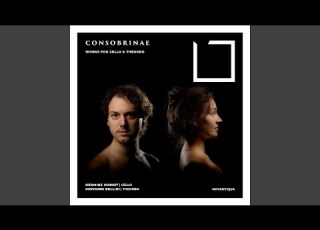  Aria Da Suonare Nr 29