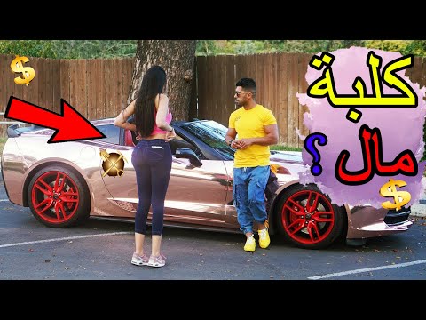 مقلب كلاب المال في شوارع امريكا 2023 مترجم 28