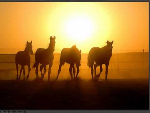 الزينة لبست خلخالا سمير يزبك