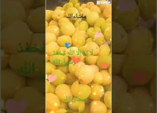  ثل م چو ڑ لثہوڑتث١ پاکستان انڈیا ورالودیو شارٹس فروٹ ویڈیو انڈیا پاکستان فروٹ جاکے ویڈیو