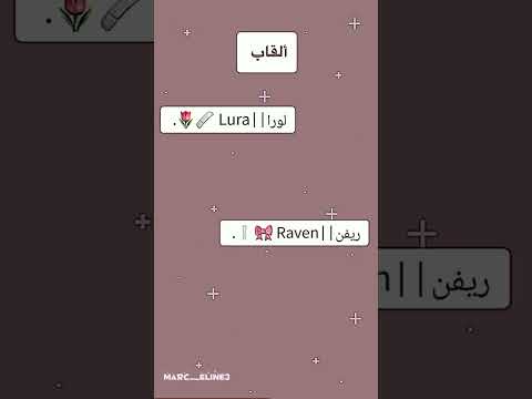 فكرتي ترتيب حساب شروحات بدون ذنوب