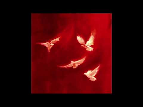 مش براب MSH BRAP