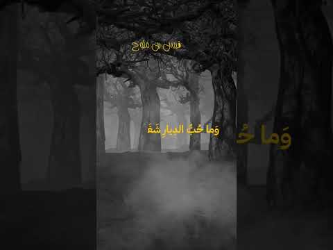 قيس بن ملوح ليلى مجنون ليلى ليلى مجنون قيس