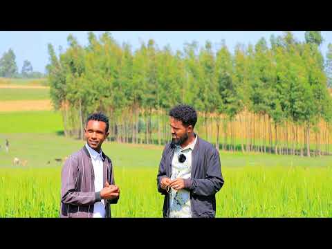 Iccitii Obboleessi Caaltuu Bakka Caaltuun Jirtu Natti Himee Jira Iccitii Obboleessi Caaltuu Bakka Caaltuun Jirtu Natti Himee Jira