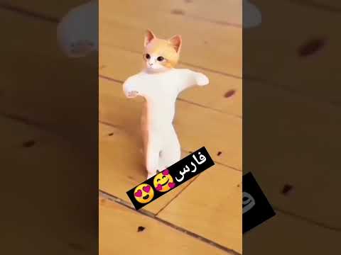 حسب الطلب فارس مصر عمان الجزائر العراق تركيا السعودية حسب الطلب امارات