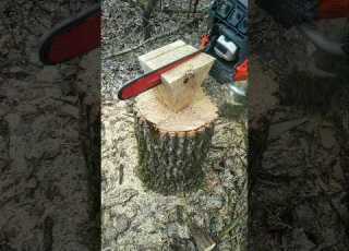  Chainsaw Wood Carving Chair In The Wild Chainsaw Bushcraft Chainsawman Woodcarving Woodworking