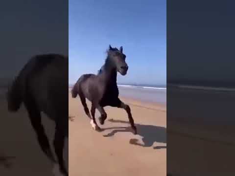 يوما سنفنا كلنا ما من مفر رغم التعلق بالدنيا وبالبشر كربات حزينة