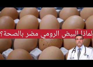  لماذا لانأكل البيض الرومي هل فيه سموم مضرة بالصحة مع الدكتور الفايد ابلور