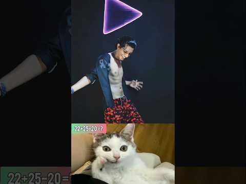 When MY Friend Go For A Walk Cat Memes Dance