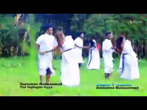 Artistii Beekamaa Guutamaa Maamad Sirba Baayee Dhageeytiif Namati Tolu Keesaahi