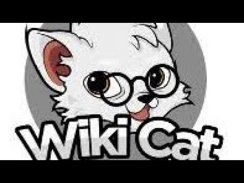 Wikicat Prophetic Dream Update