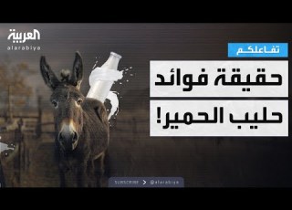  تفاعلكم مزارع يكشف فوائد مذهلة لحليب الحمير ومختص يرد