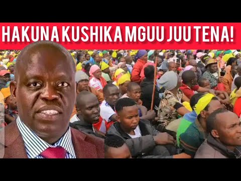 Hakuna Kushika Miguu Juu Tena Fearless Dollarline Woman Supporter Roars